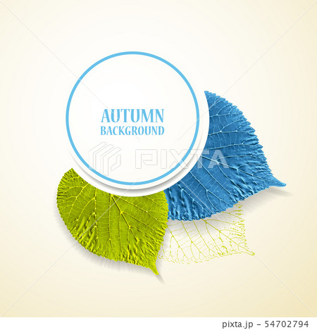Autumn background with leaves. 54702794