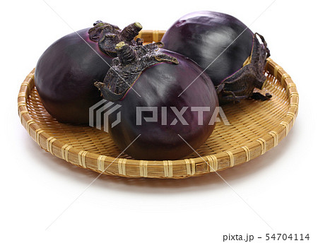 賀茂茄子 賀茂茄子 54704114
