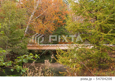 栃木県日光市 湯川 青木橋 (10月) 栃木県日光市 湯川 青木橋 (10月) 54704206
