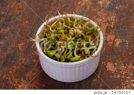 Mash bean sprout Mash bean sprout 54704357