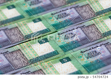 Money of Egypt. Egyptian pound background. Money of Egypt. Egyptian pound background. 54704724