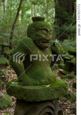 苔むした石像 54705771