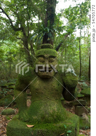 苔むした石像 54705772