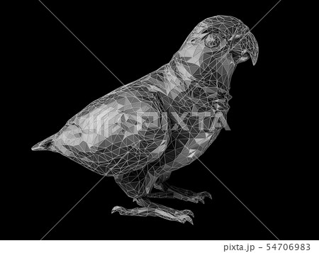 3d Illustration of parrot polygon style 54706983
