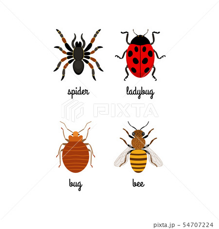 Insects colorful flat icons set Insects colorful flat icons set 54707224