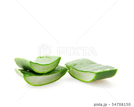 Aloe Vera On White Background Aloe Vera On White Background 54708150