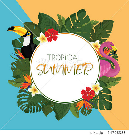 Tropical summer round frame design Tropical summer round frame design 54708383