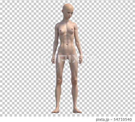 Women body parts series full body before perming3DCG illustrations material Women body parts series full body before perming3DCG illustrations material 54710540