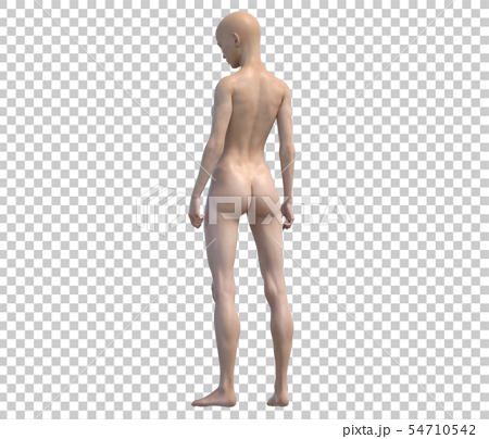 Part Body Back Broad Voluminous Inflated Stock Photo 1038406528