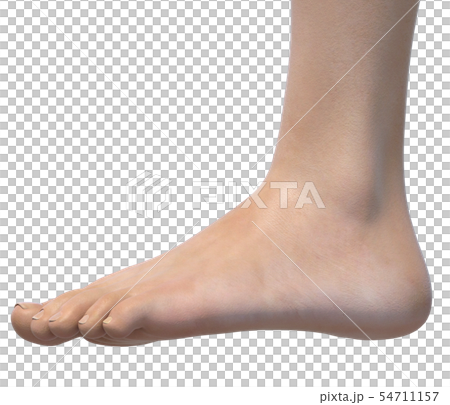 女性身體部位系列腳外側perming3DCG插圖素材 54711157