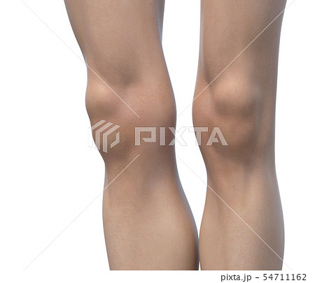 女性 ボディーパーツシリーズ 膝 Perming3dcgイラスト素材のイラスト素材