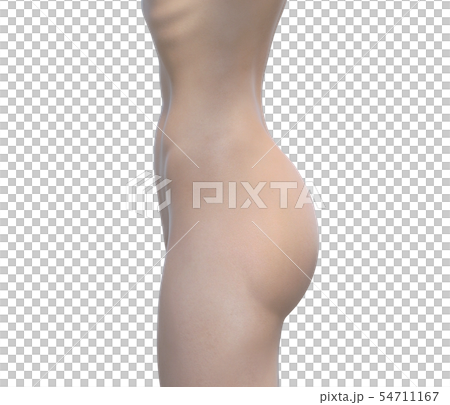 女性 ボディーパーツシリーズ ウェスト〜ヒップ perming3DCGイラスト素材 女性 ボディーパーツシリーズ ウェスト〜ヒップ perming3DCGイラスト素材 54711167