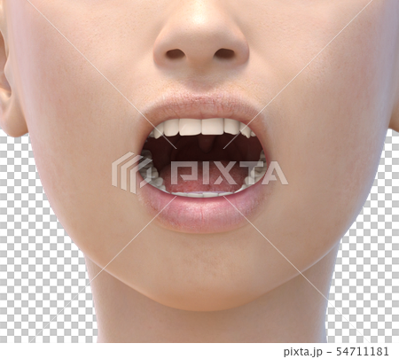 女性　ボディーパーツシリーズ　口内　perming3DCGイラスト素材 54711181