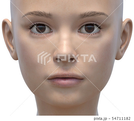 女性　ボディーパーツシリーズ　顔のクローズアップ　perming3DCGイラスト素材 54711182