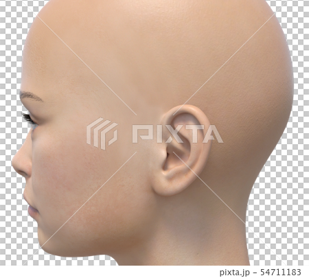 女性　ボディーパーツシリーズ　横顔　perming3DCGイラスト素材 54711183