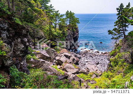 【静岡県】東伊豆城ヶ崎海岸　対島の滝付近の景色 54711371