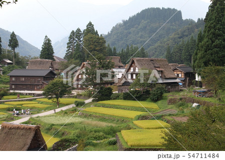 初秋 実りの秋の五箇山(相倉) 初秋 実りの秋の五箇山(相倉) 54711484