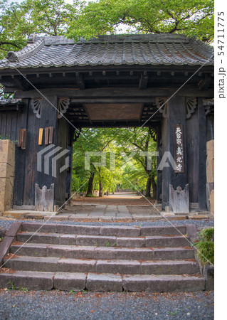真光寺 山門 群馬県渋川市 真光寺 山門 群馬県渋川市 54711775