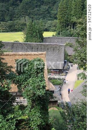 初秋 実りの秋の五箇山菅沼 初秋 実りの秋の五箇山菅沼 54712410