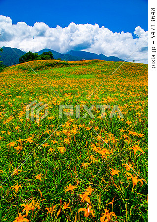 台湾 花蓮 山脈 54713648