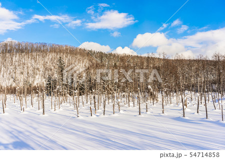Beautiful outdoor nature landscape with blue pond tree branch in snow winter season Beautiful outdoor nature landscape with blue pond tree branch in snow winter season 54714858
