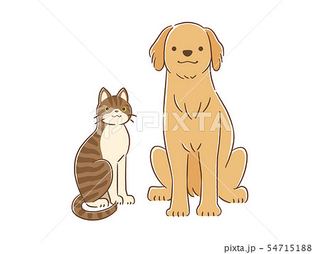 手描き風タッチの犬と猫のイラスト（ゴールデン・レトリバー＆雑種キジトラ） 54715188
