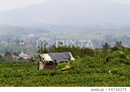 Hut in The Farm Hut in The Farm 54716275