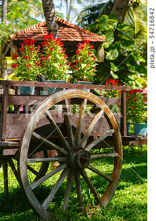 Old Wooden Wheel Decor 54716642