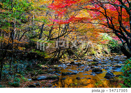 花園渓谷(秋) 花園渓谷(秋) 54717305