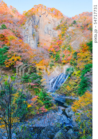 袋田の滝・遠景 （秋） 54717731