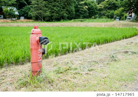 田舎の消火栓 田舎の消火栓 54717965