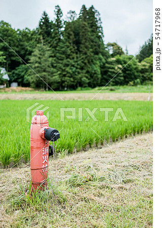 田舎の消火栓 田舎の消火栓 54717968