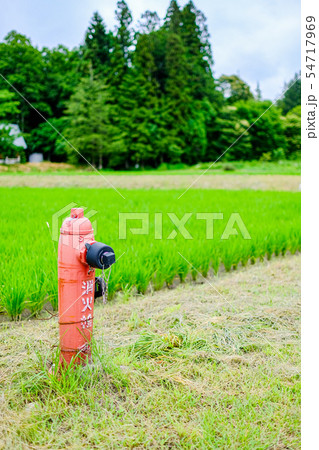 田舎の消火栓 田舎の消火栓 54717969