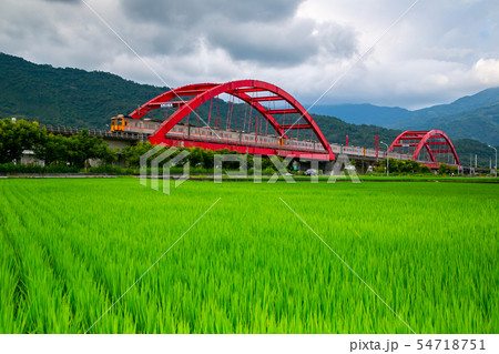 台湾 花蓮 池上 54718751
