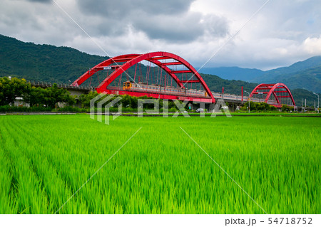 台湾 花蓮 池上 54718752