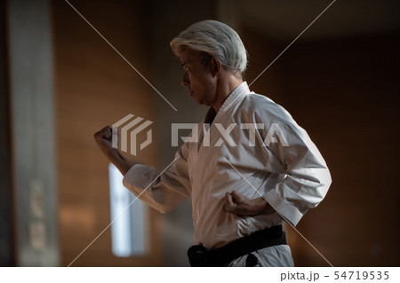 karateka 54719535