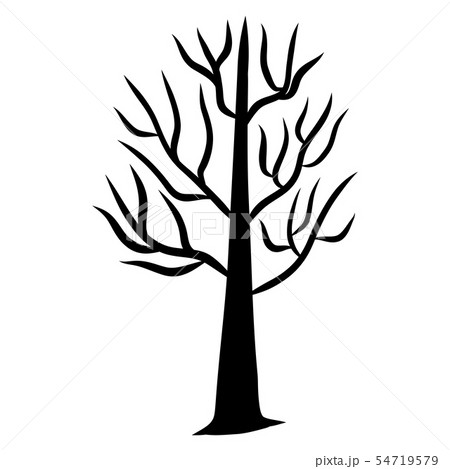 Tree silhouette isolated illustration on white 54719579