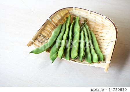 モロッコいんげん 54720630