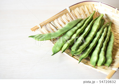 モロッコいんげん 54720632