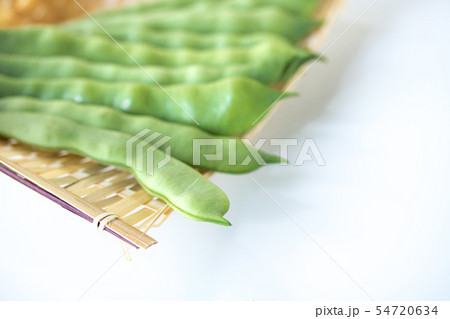 モロッコいんげん 54720634