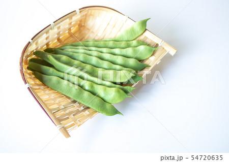 モロッコいんげん 54720635