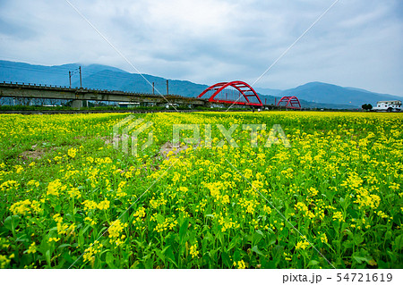 台湾 花蓮 池上 54721619