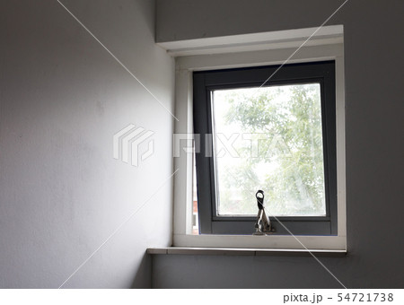 Small open window 54721738