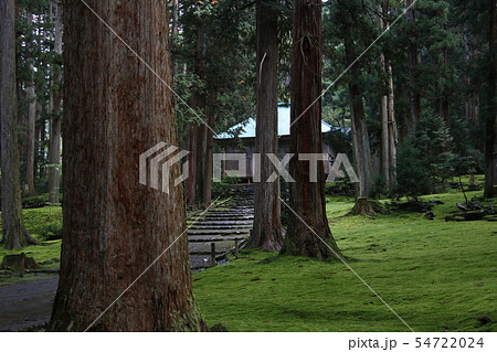 福井の苔寺 栄華の跡 平泉寺白山神社 福井の苔寺 栄華の跡 平泉寺白山神社 54722024