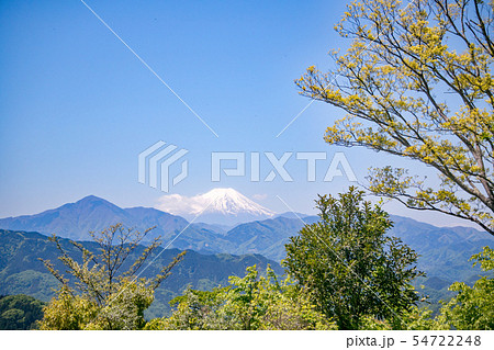 高尾山　山頂　 大見晴台から眺望する富士山　5月初旬 54722248