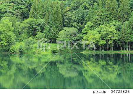 緑に染まる神秘的な湖水 緑に染まる神秘的な湖水 54722328