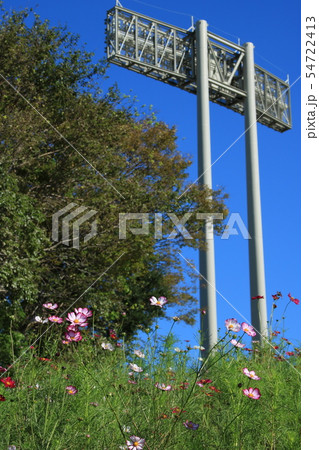 神戸・総合運動公園「コスモスの丘」とユニバー記念競技場の照明塔 神戸・総合運動公園「コスモスの丘」とユニバー記念競技場の照明塔 54722413