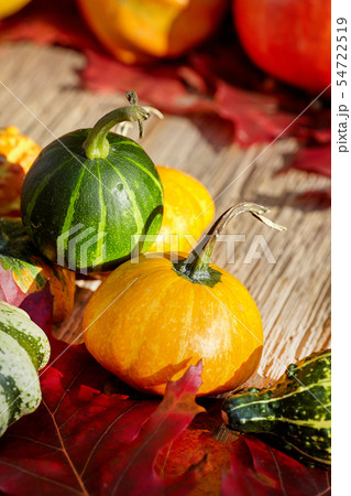 Thanksgiving Autumn Fall background with red, Thanksgiving Autumn Fall background with red, 54722519