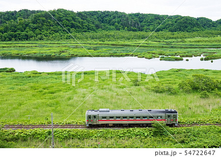 別寒辺牛湿原を走る花咲線 54722647