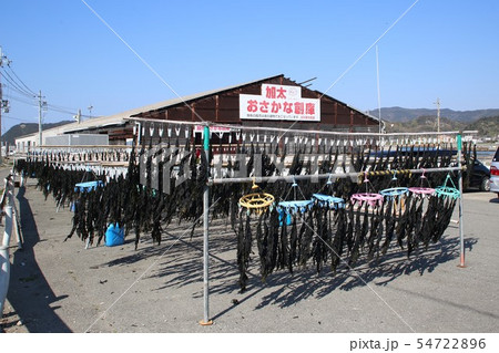 和歌山 加太漁港の風景 和歌山 加太漁港の風景 54722896